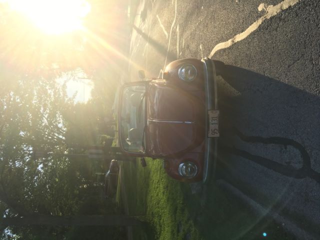 1979 VW Super Beetle 1979 Volkswagen Beetle - Classic