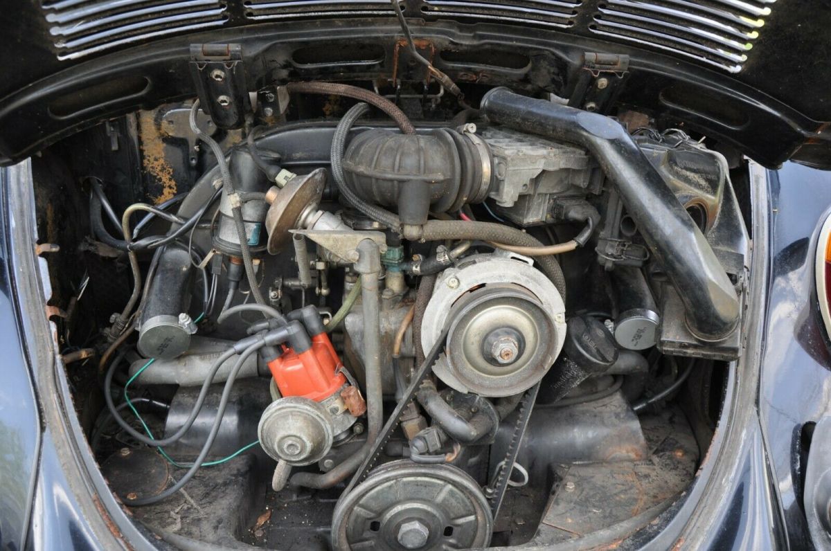 1979 Volkswagen Beetle - Classic - photo 8