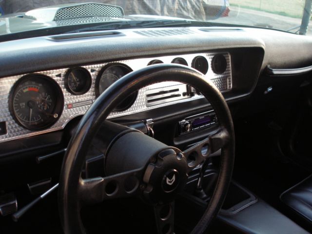1979 Pontiac Trans Am - photo 10