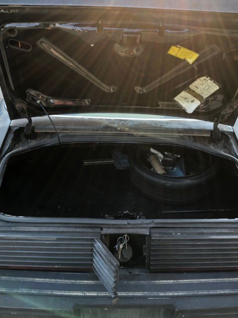 1979 Pontiac Firebird Y84 - photo 5