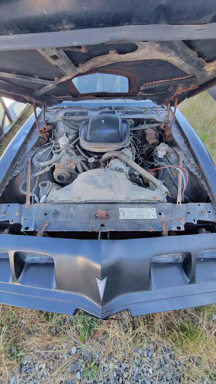 1979 Pontiac Firebird - photo 11