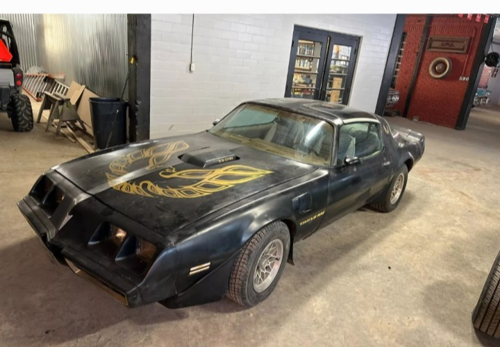 1979 Pontiac Firebird - photo 12