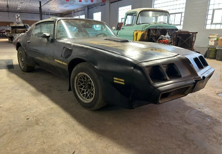 1979 Pontiac Firebird - photo 3