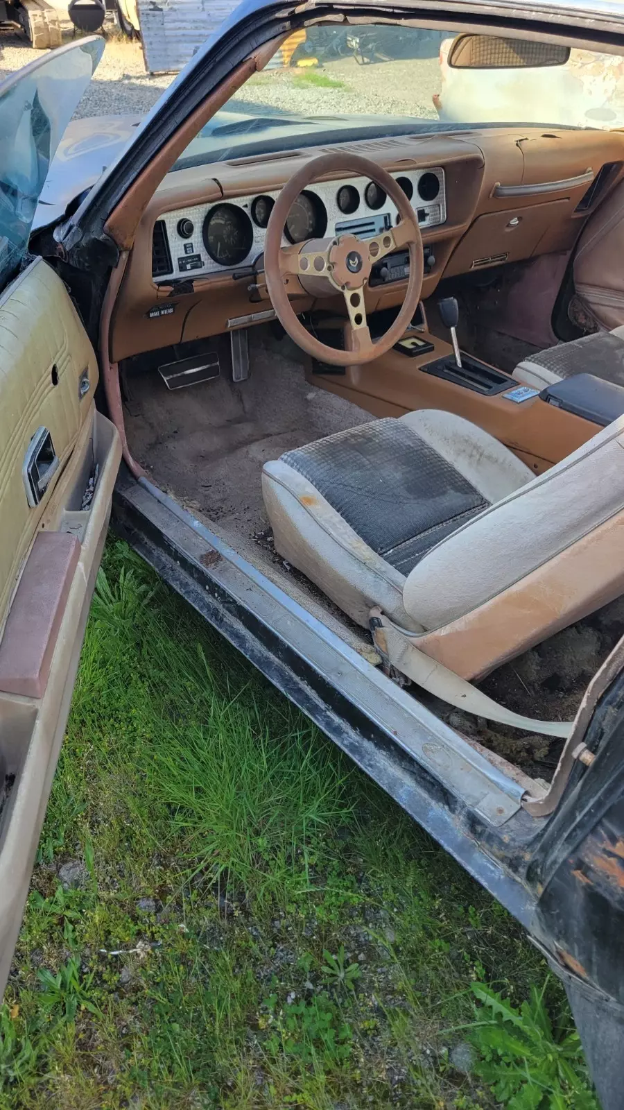 1979 Pontiac Firebird - photo 4
