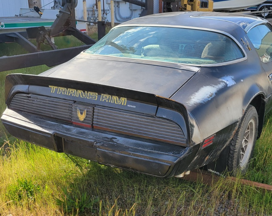 1979 Pontiac Firebird - photo 5