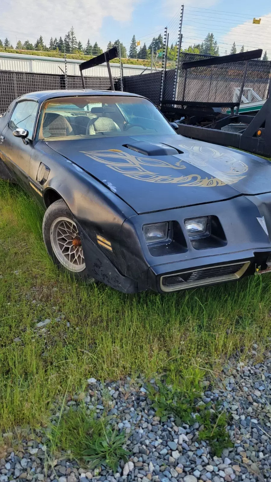 1979 Pontiac Firebird - photo 6