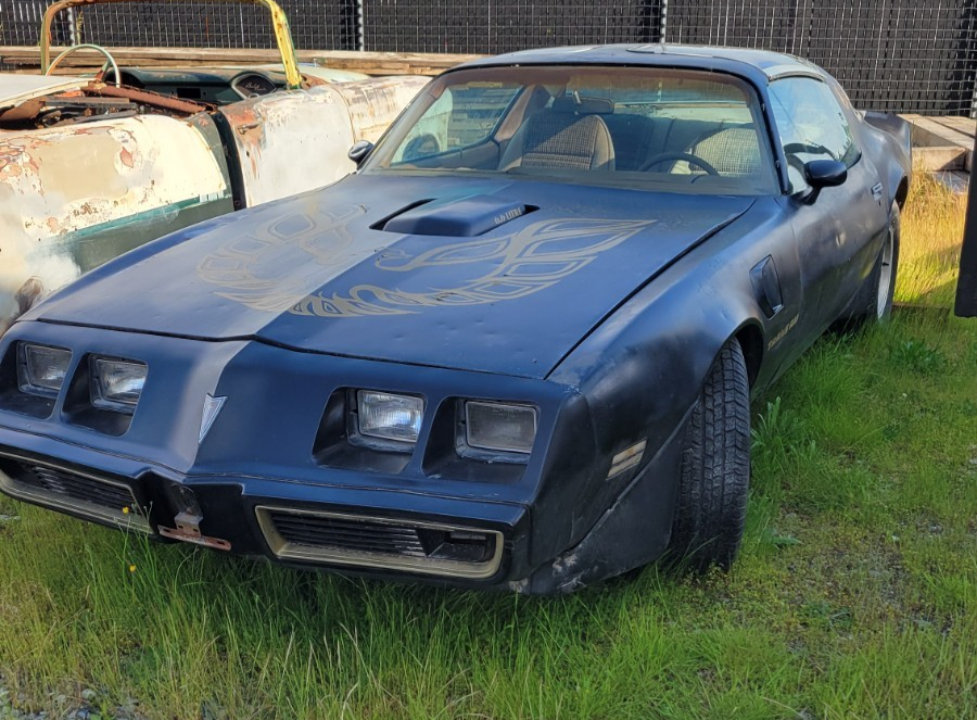 1979 Pontiac Firebird - photo 7