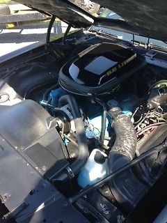 1979 Pontiac Trans Am - photo 13