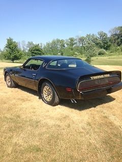 1979 Pontiac Trans Am - photo 4