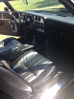 1979 Pontiac Trans Am - photo 9