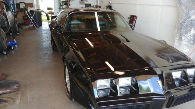 1979 Pontiac Trans Am - photo 2
