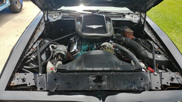 1979 Pontiac Trans Am - photo 4