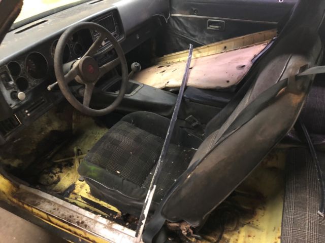 1979 Chevrolet Camaro Z28 - photo 9
