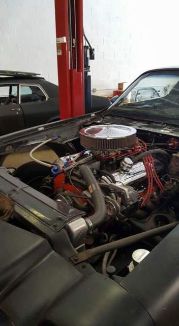 1979 Chevrolet Camaro Z/28 - photo 3