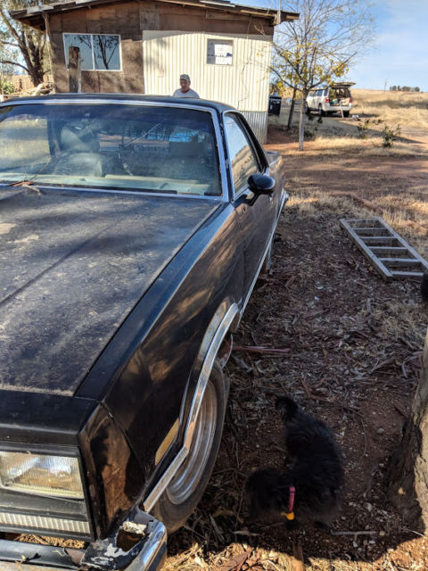 1980 Chevrolet El Camino chrome - photo 5