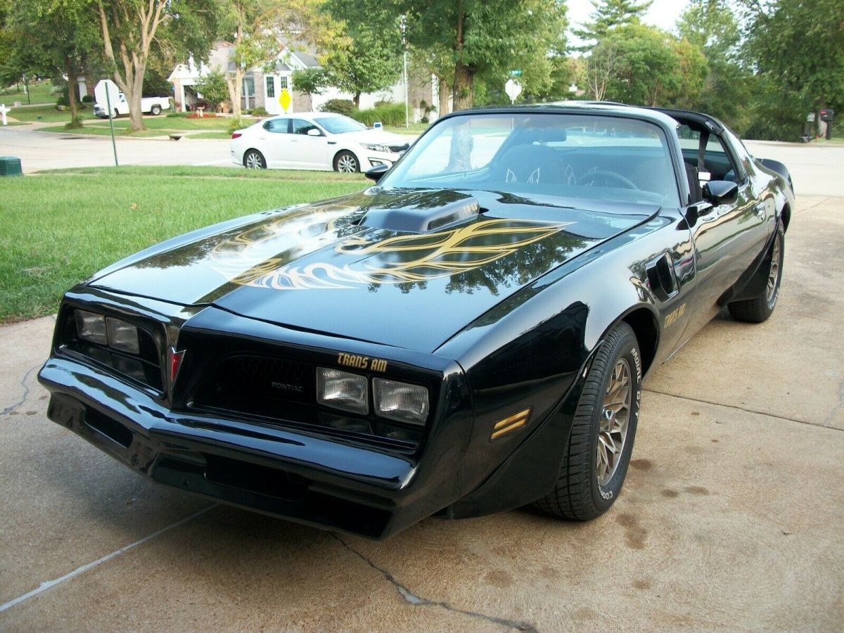 1980 502 Bandit Trans Am Tribute 1980 Pontiac Trans Am