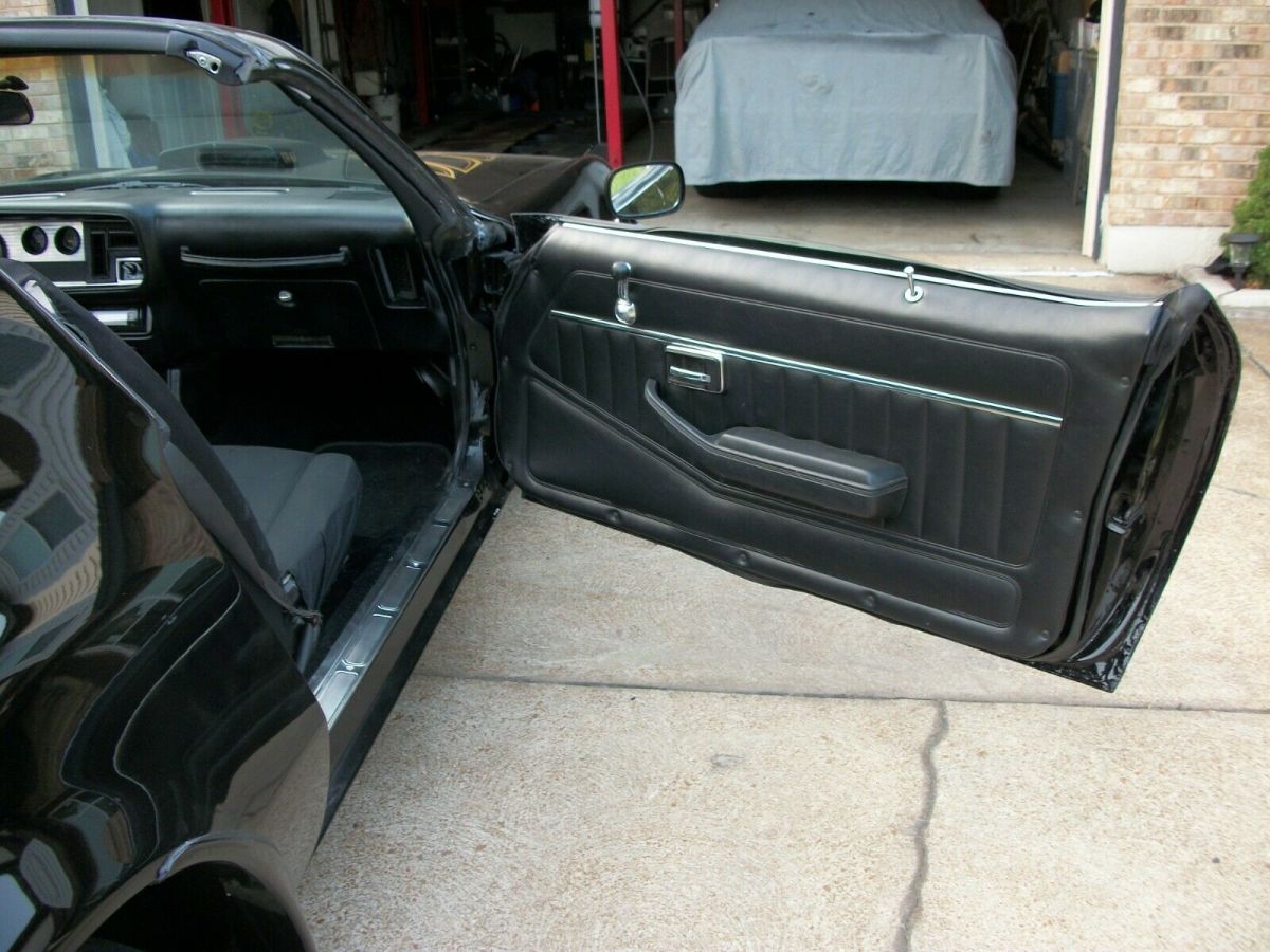 1980 Pontiac Trans Am - photo 12