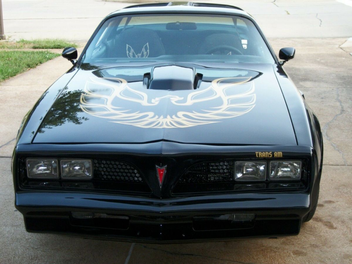 1980 Pontiac Trans Am - photo 3