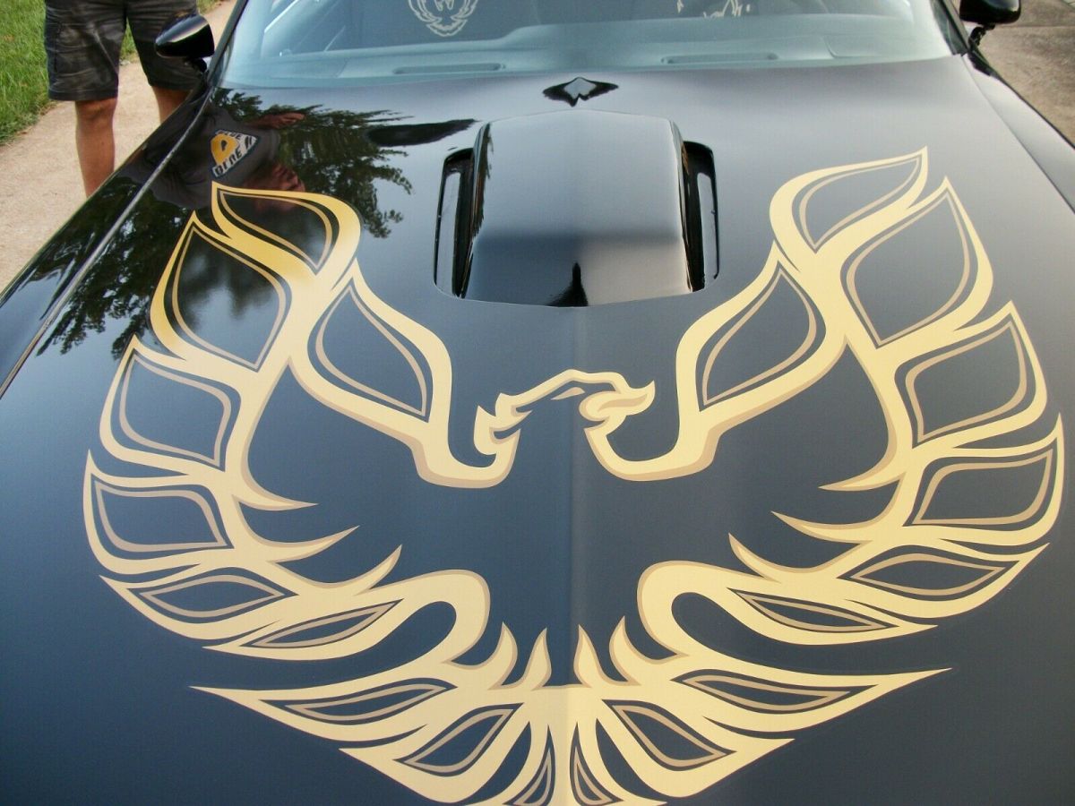 1980 Pontiac Trans Am - photo 5