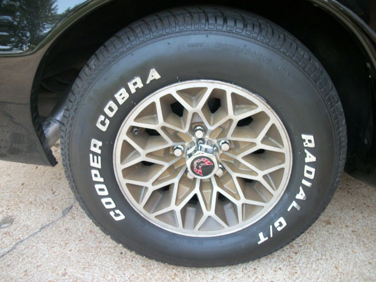 1980 Pontiac Trans Am - photo 6