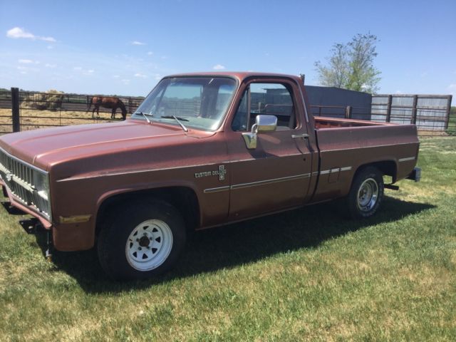1980 Chevrolet C/K Pickup 1500 - photo 3
