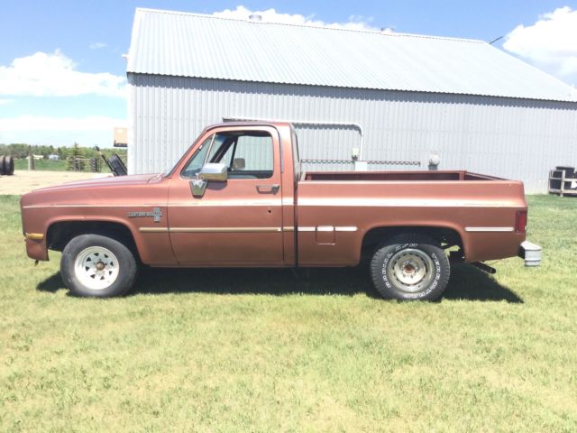 1980 Chevrolet C/K Pickup 1500 - photo 9