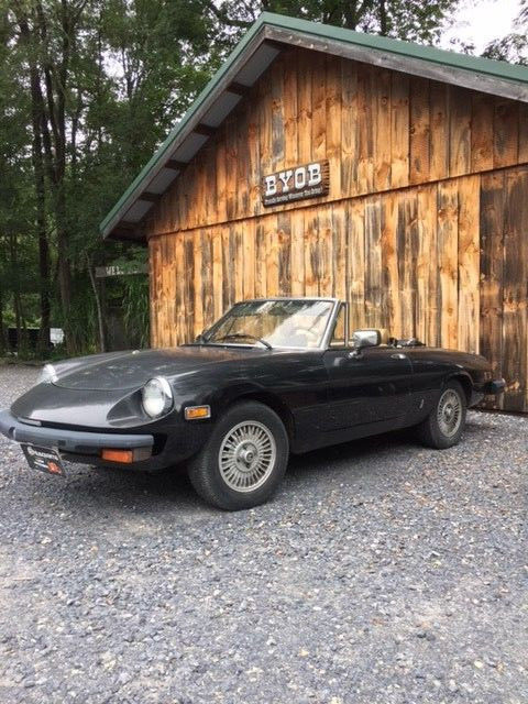 1980 Alfa Romeo Spider