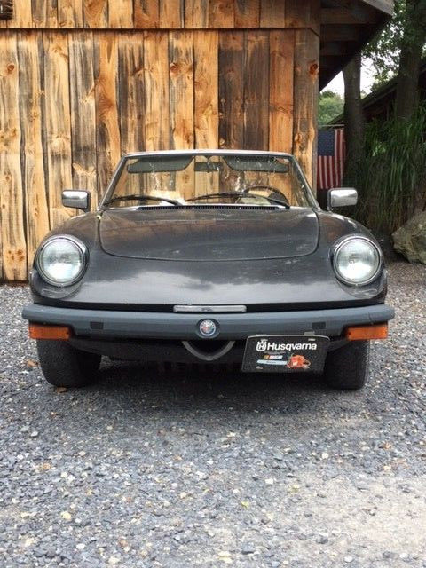 1980 Alfa Romeo Spider - photo 2