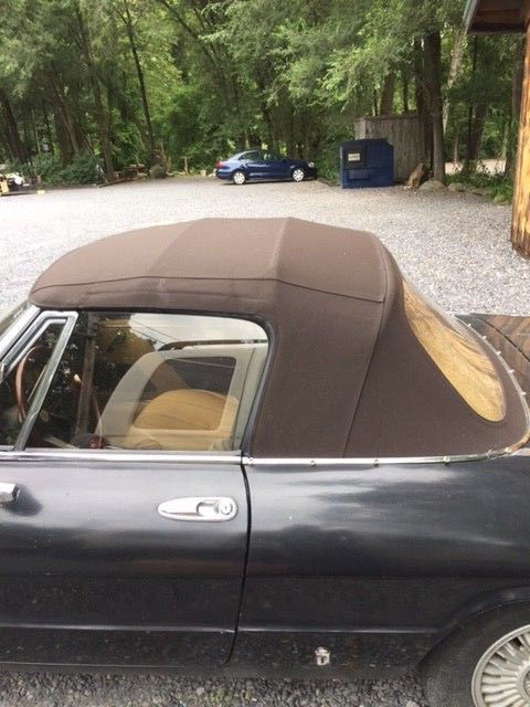 1980 Alfa Romeo Spider - photo 6