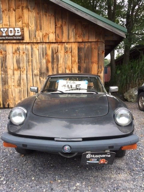 1980 Alfa Romeo Spider - photo 7