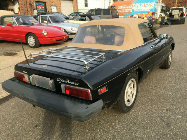 1980 Alfa Romeo Spider Veloce - photo 3