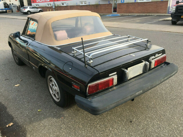 1980 Alfa Romeo Spider Veloce - photo 4