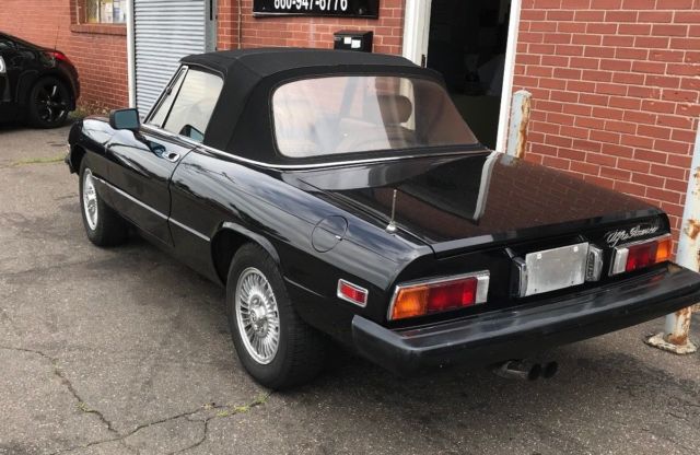 1980 Alfa Romeo Spider Veloce - photo 2