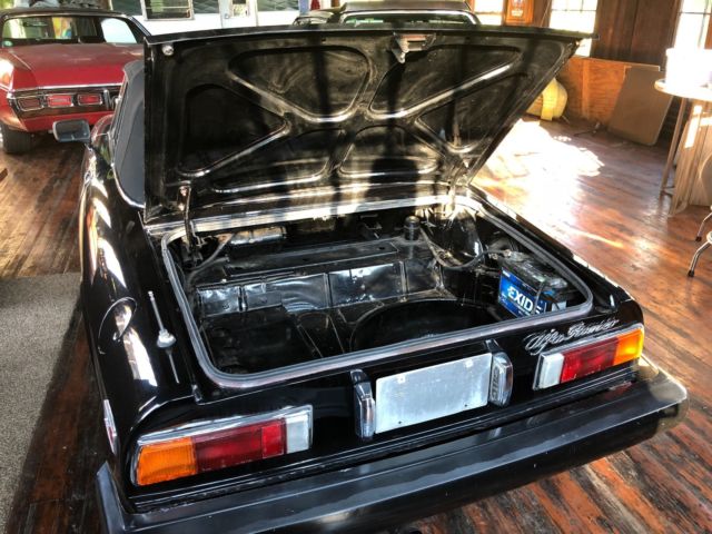 1980 Alfa Romeo Spider Veloce - photo 6