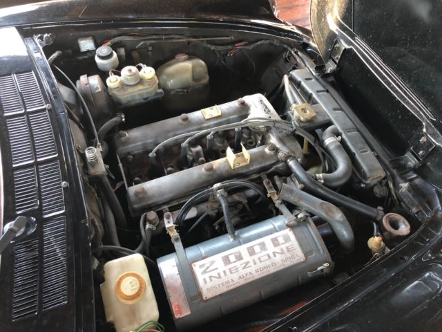 1980 Alfa Romeo Spider Veloce - photo 7