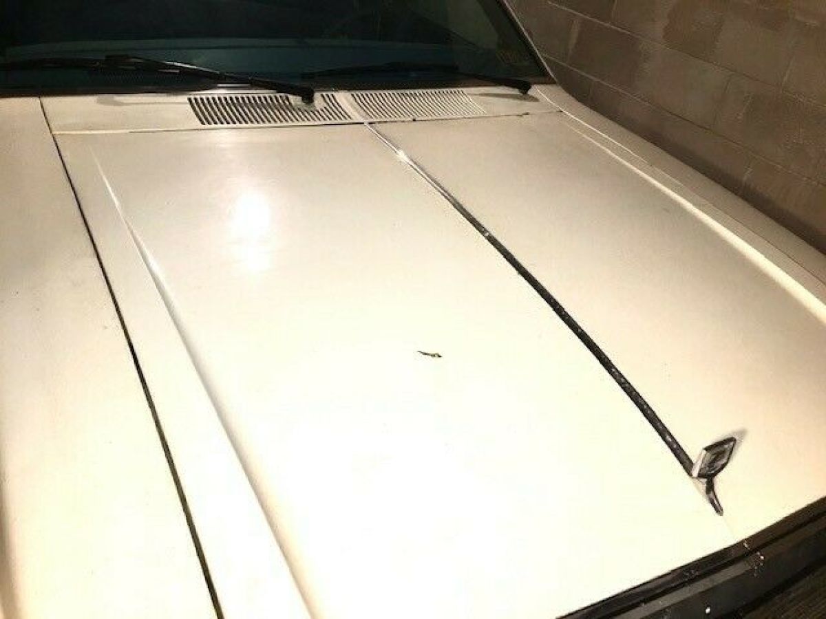 1980 AMC Other - photo 2