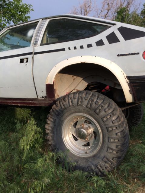 1980 AMC Other - photo 2