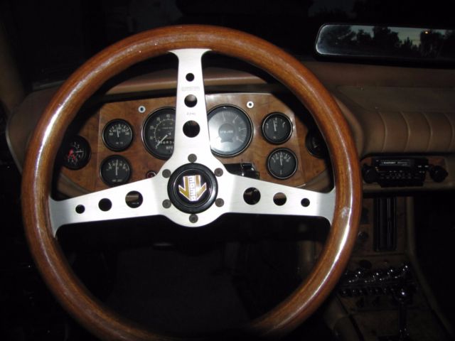 1980 Other Makes Coupe - photo 9