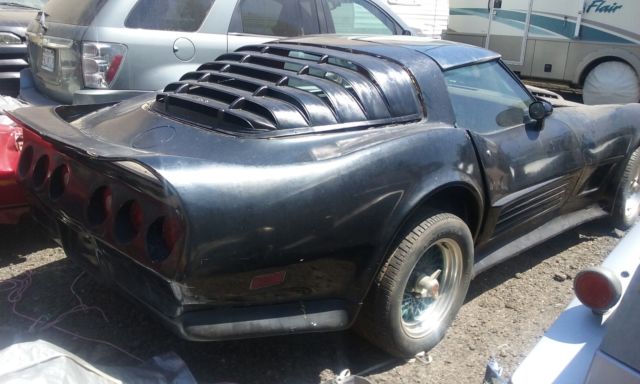 1980 Chevrolet Corvette Stingray 2DR Coupe - photo 2