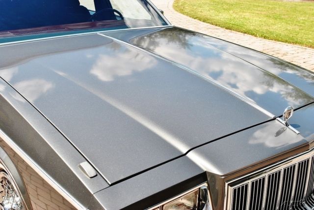 1980 Buick Electra Beautiful Park Ave in Absolutely Amazing Condition - photo 3