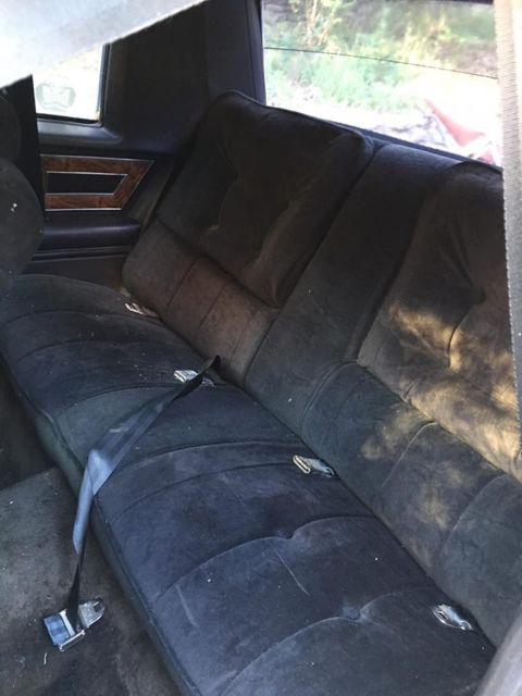 1980 Buick Regal - photo 10