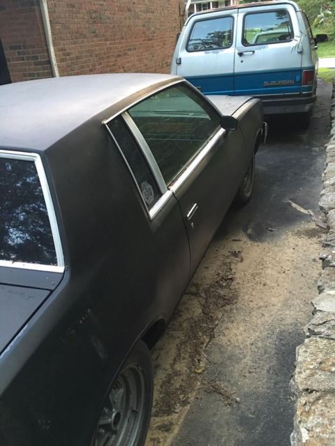 1980 Buick Regal - photo 2