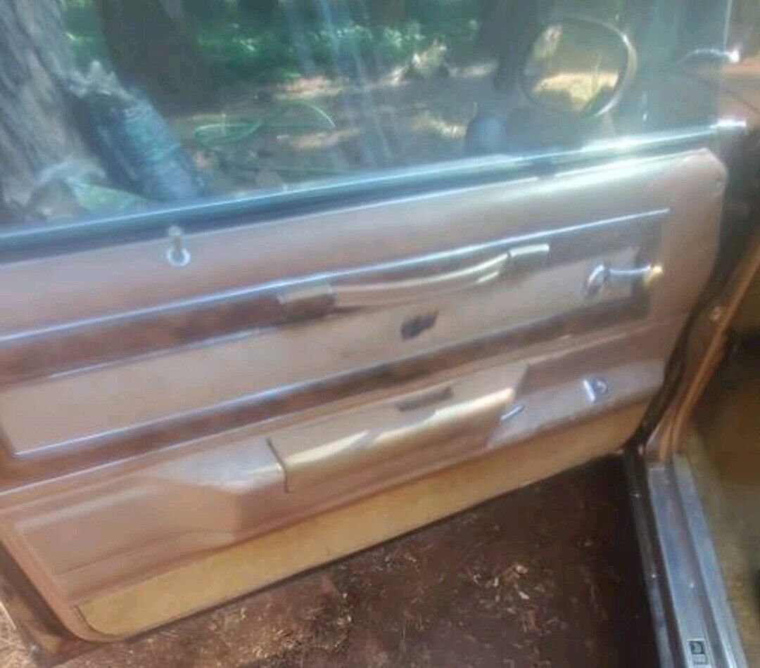 1980 Buick Regal - photo 11