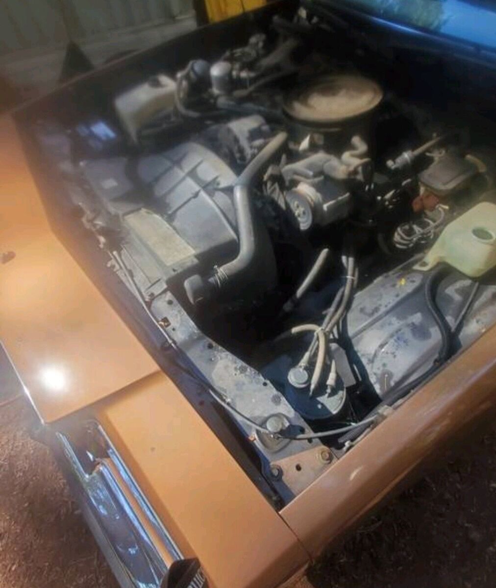 1980 Buick Regal - photo 12