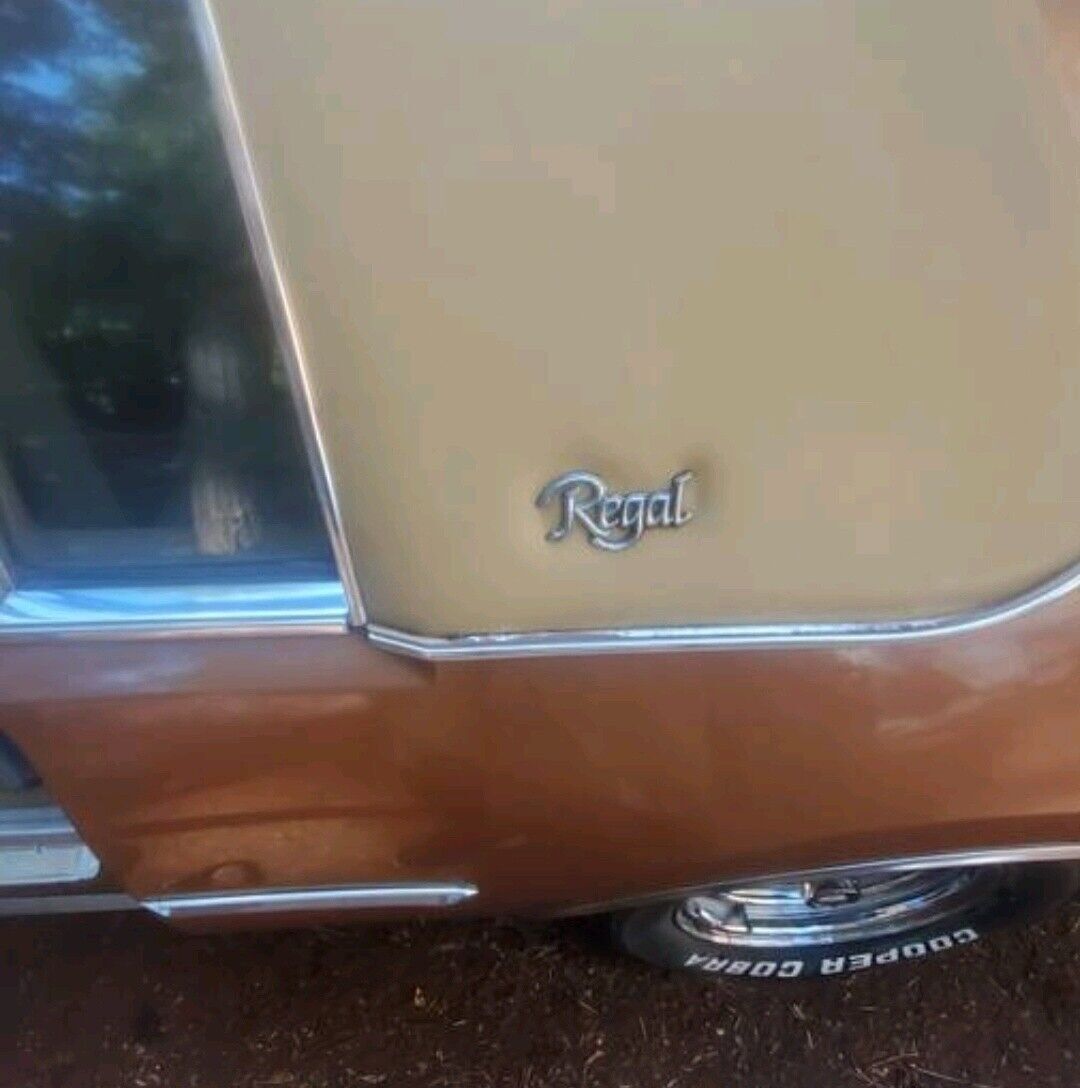 1980 Buick Regal - photo 5