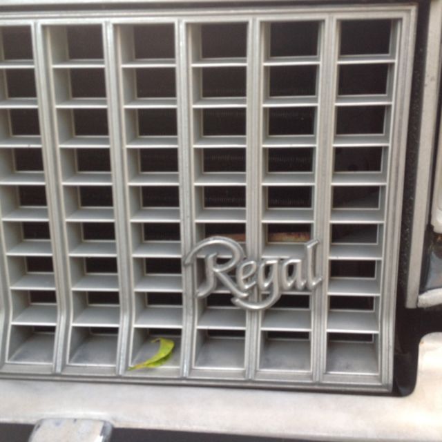 1980 Buick Regal Limited Coupe 2-Door - photo 4