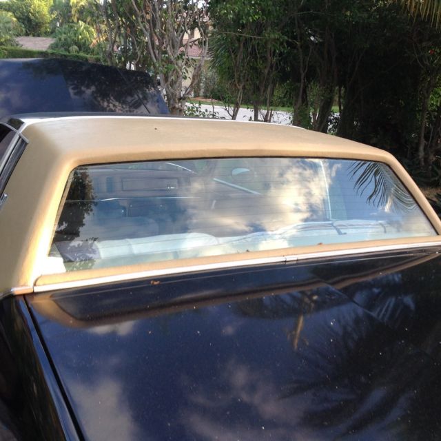 1980 Buick Regal Limited Coupe 2-Door - photo 6