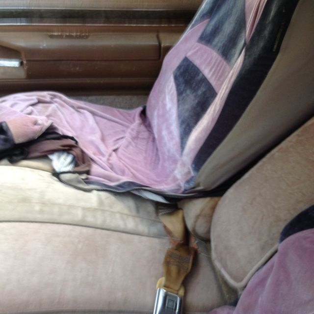 1980 Buick Regal Limited Coupe 2-Door - photo 8