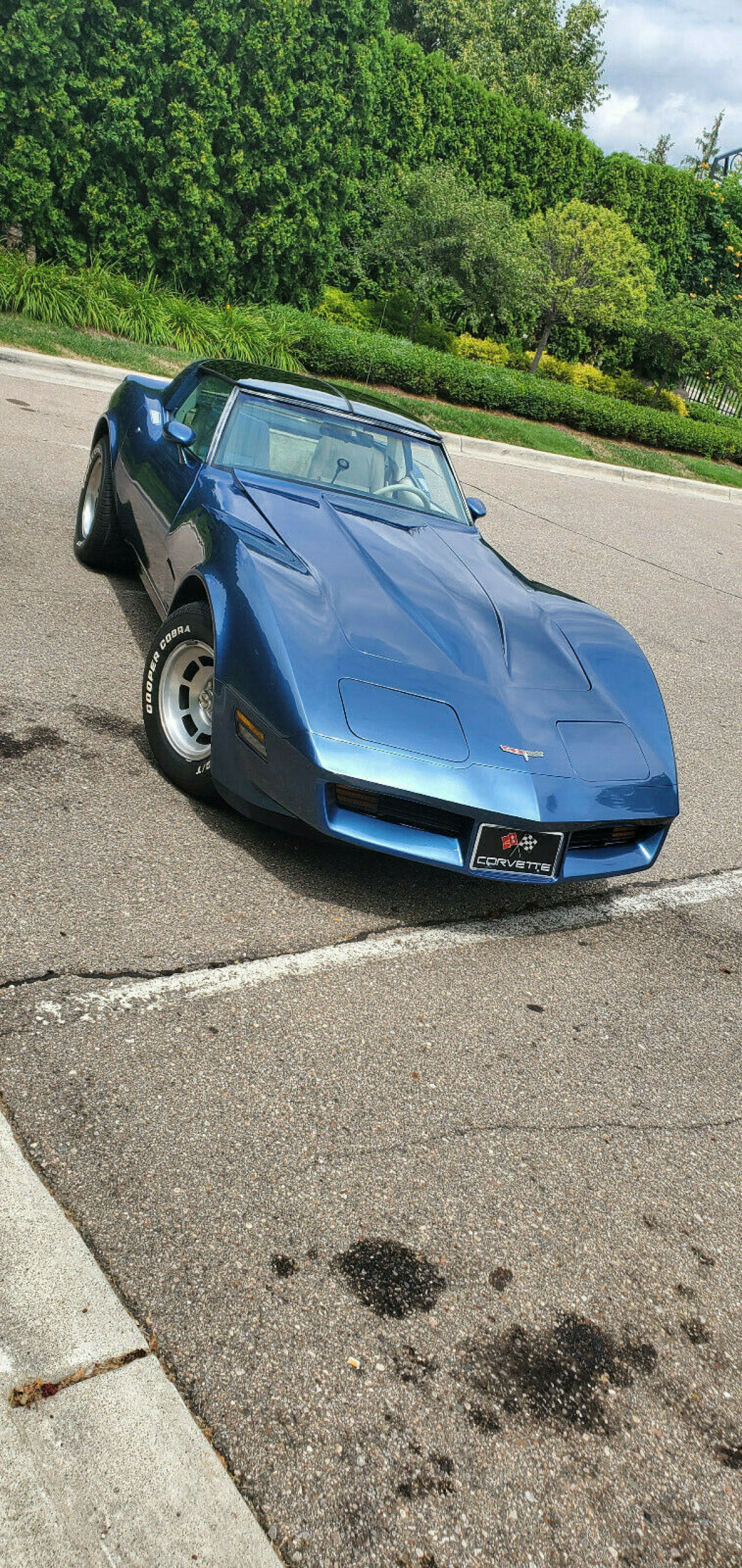 1980 Chevrolet Corvette - photo 3