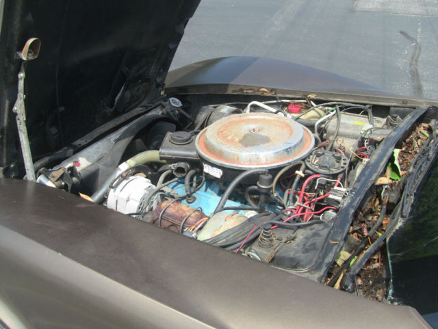 1980 Chevrolet Corvette - photo 6